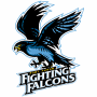  Port Huron Fighting Falcons