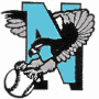 Newburgh Night Hawks