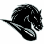 Jacksonville Stallions