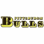 Pittsburgh Bulls (NLL)