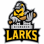 Bismarck Larks