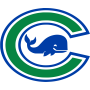 Connecticut Whale