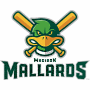 Madison Mallards