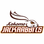 Kokomo Jackrabbits