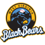 West Virginia Black Bears