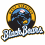 West Virginia Black Bears