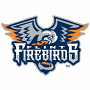 Flint Firebirds