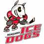 Niagara IceDogs