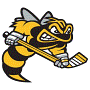 Sarnia Sting