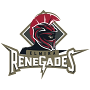 Elmira Renegades