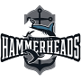 Hampton Hammerheads