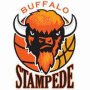  Buffalo Stampede