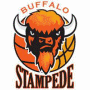 Buffalo Stampede