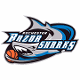  Rochester RazorSharks