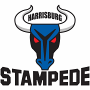  Harrisburg Stampede