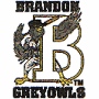Brandon Grey Owls