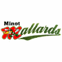 Minot Mallards