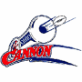 Ohio Cannon