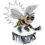 New England Stingers