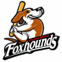  Aiken Foxhounds