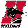 Houston Stallions