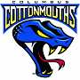 Columbus Cottonmouths