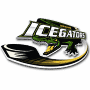 Louisiana IceGators