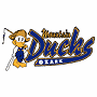  Springfield/Ozark Mountain Ducks