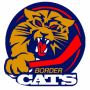 Port Huron Border Cats