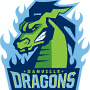  Danville Dragons