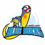 Lakeland Blue Ducks