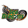  Florida Sea Dragons