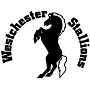 Westchester Stallions