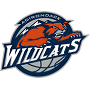 Adirondack Wildcats (USBL)