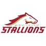 Birmingham Stallions