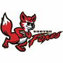 Denver Foxes (UWFL)