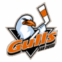 San Diego Gulls