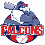 Kelowna Falcons