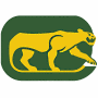 Chicago Cougars (WHA)