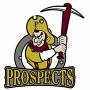 Edmonton Prospects (WMBL)