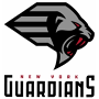 New York Guardians