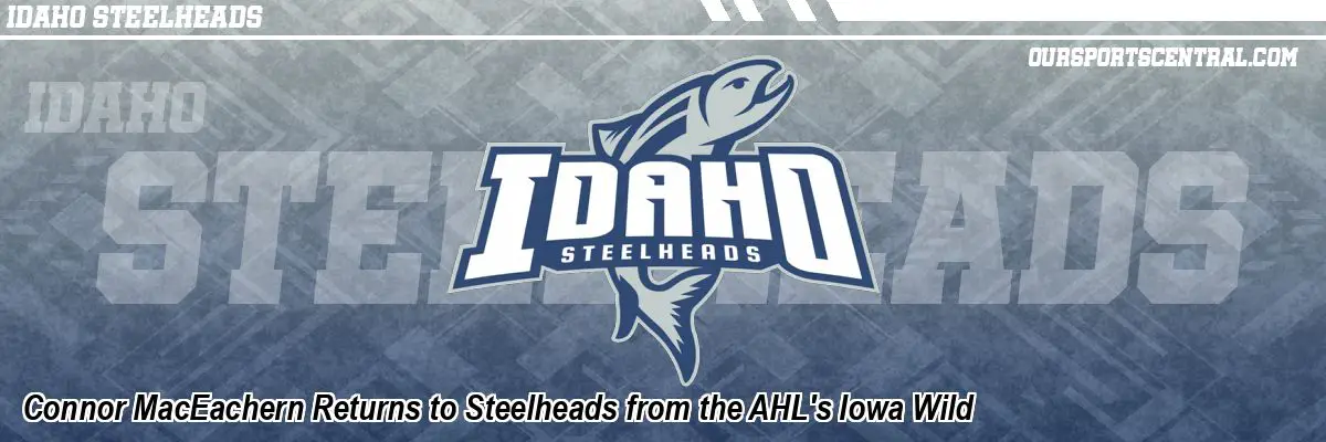 Connor MacEachern Returns to Steelheads from the AHL's Iowa Wild