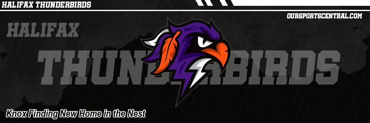 Knox Finding New Home in the Nest