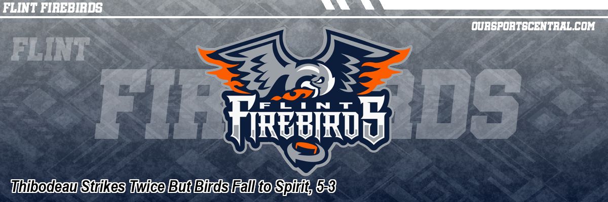 Thibodeau Strikes Twice But Birds Fall to Spirit, 5-3