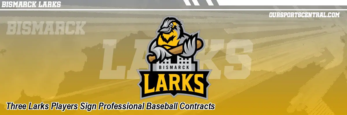 Three Larks Players Sign Professional Baseball Contracts