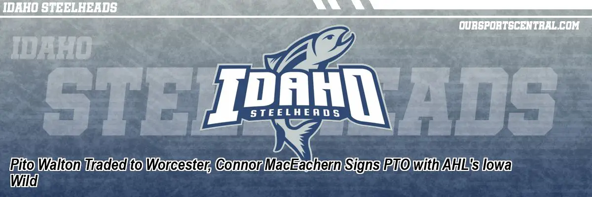 Pito Walton Traded to Worcester, Connor MacEachern Signs PTO with AHL's Iowa Wild