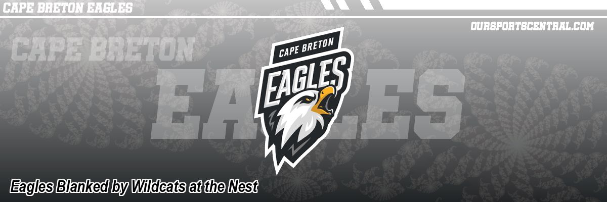 Eagles Blanked by Wildcats at the Nest