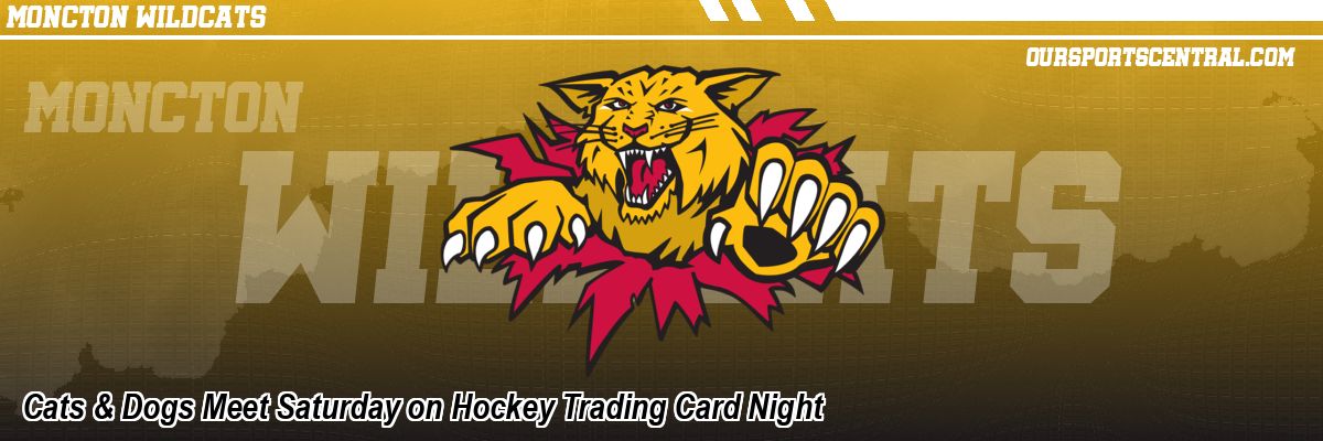 Cats & Dogs Meet Saturday on Hockey Trading Card Night
