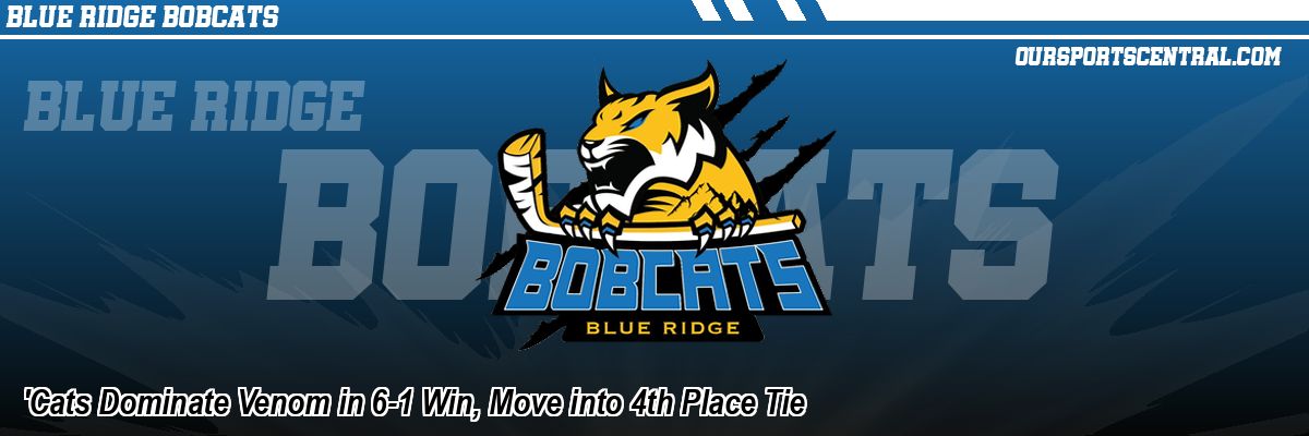 'Cats Dominate Venom in 6-1 Win, Move into 4th Place Tie