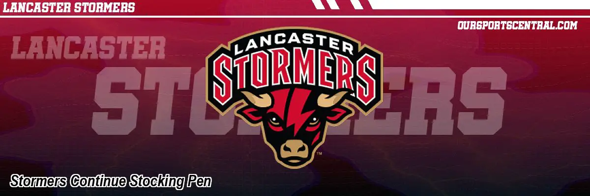 Stormers Continue Stocking Pen